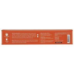 Jiva Ayurveda dantų pasta – natūrali burnos higiena