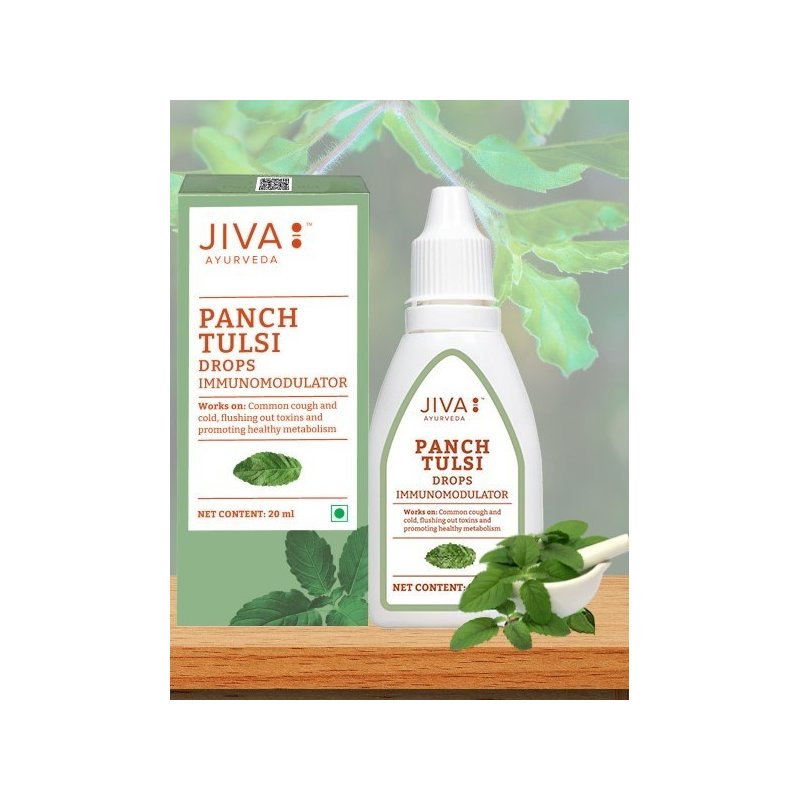 Tulsi lašai – indiškasis bazilikas imunitetui ir kvėpavimui