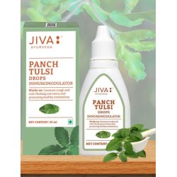 Tulsi lašai – indiškasis bazilikas imunitetui ir kvėpavimui