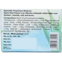 Ajurvedinis Sri Sri Quick Heal kremas