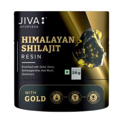 Himalajų mumijus su auksu