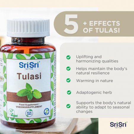 Tulsi - kvėpavimui, ramybei, gerai savijautai